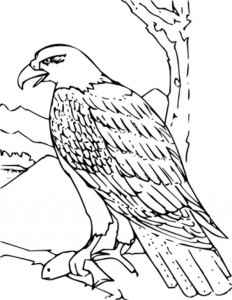 coloring book bald eagle