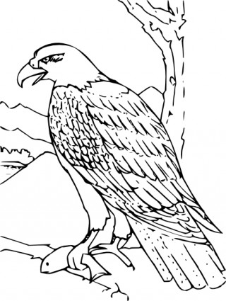 Free vector >> Vector clip art >> Coloring Book Bald Eagle clip art
