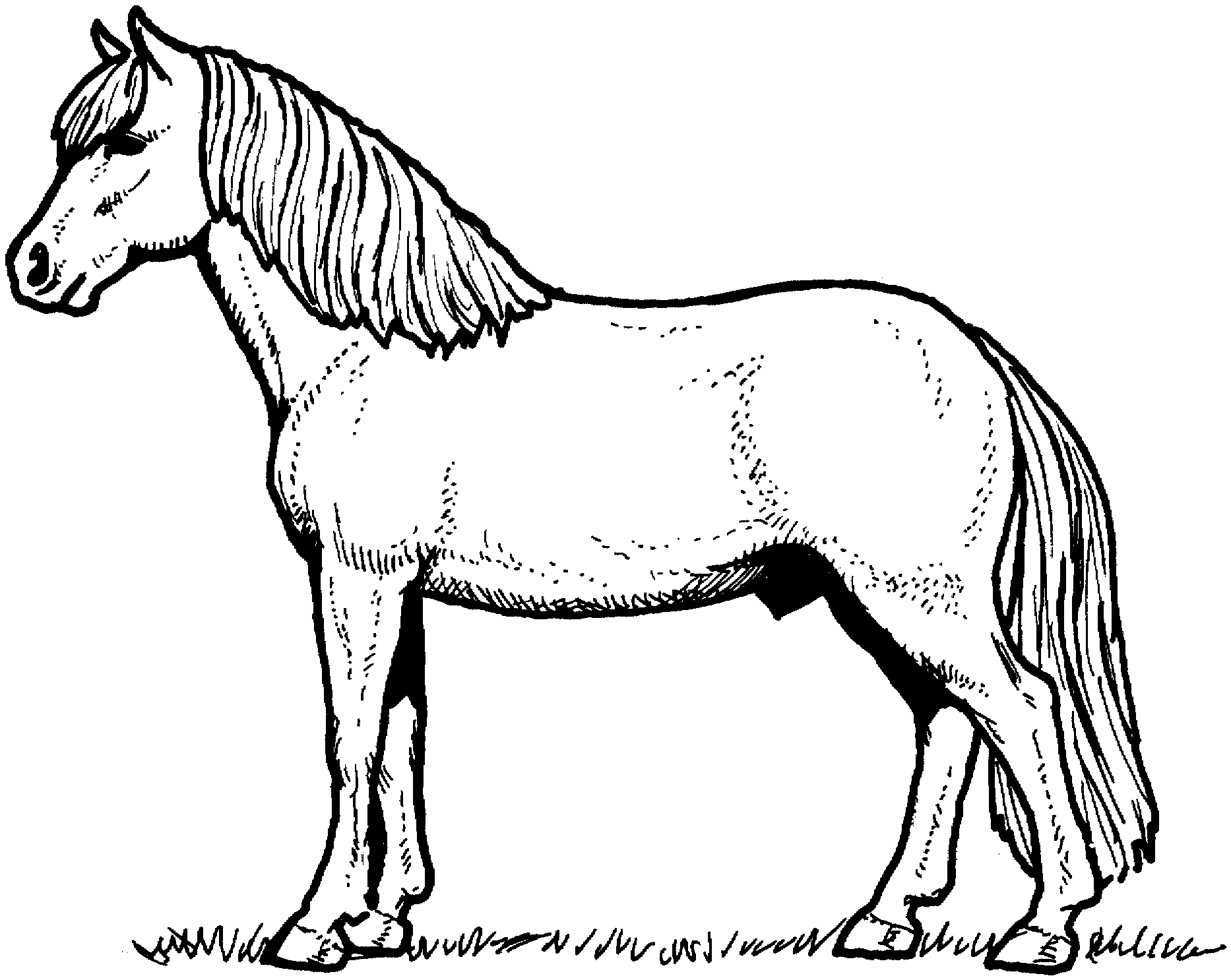 Free Horse Coloring Pages